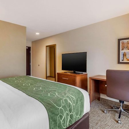 Comfort Inn & Suites Schenectady - Scotia Zewnętrze zdjęcie