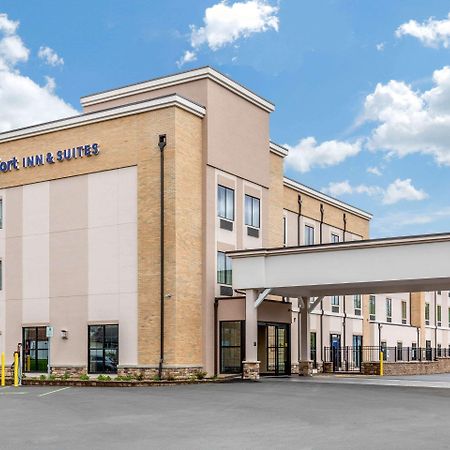 Comfort Inn & Suites Schenectady - Scotia Zewnętrze zdjęcie