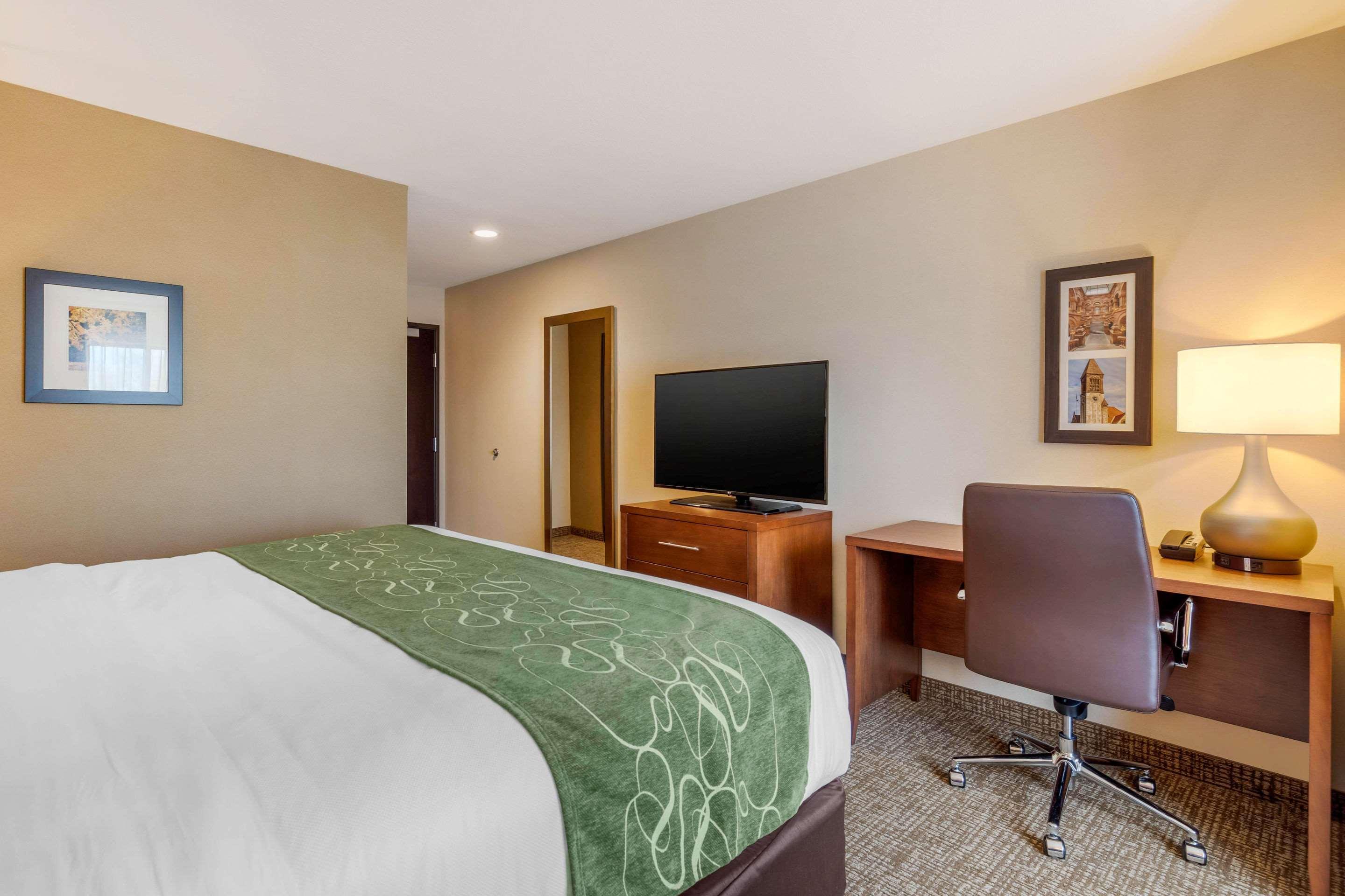 Comfort Inn & Suites Schenectady - Scotia Zewnętrze zdjęcie