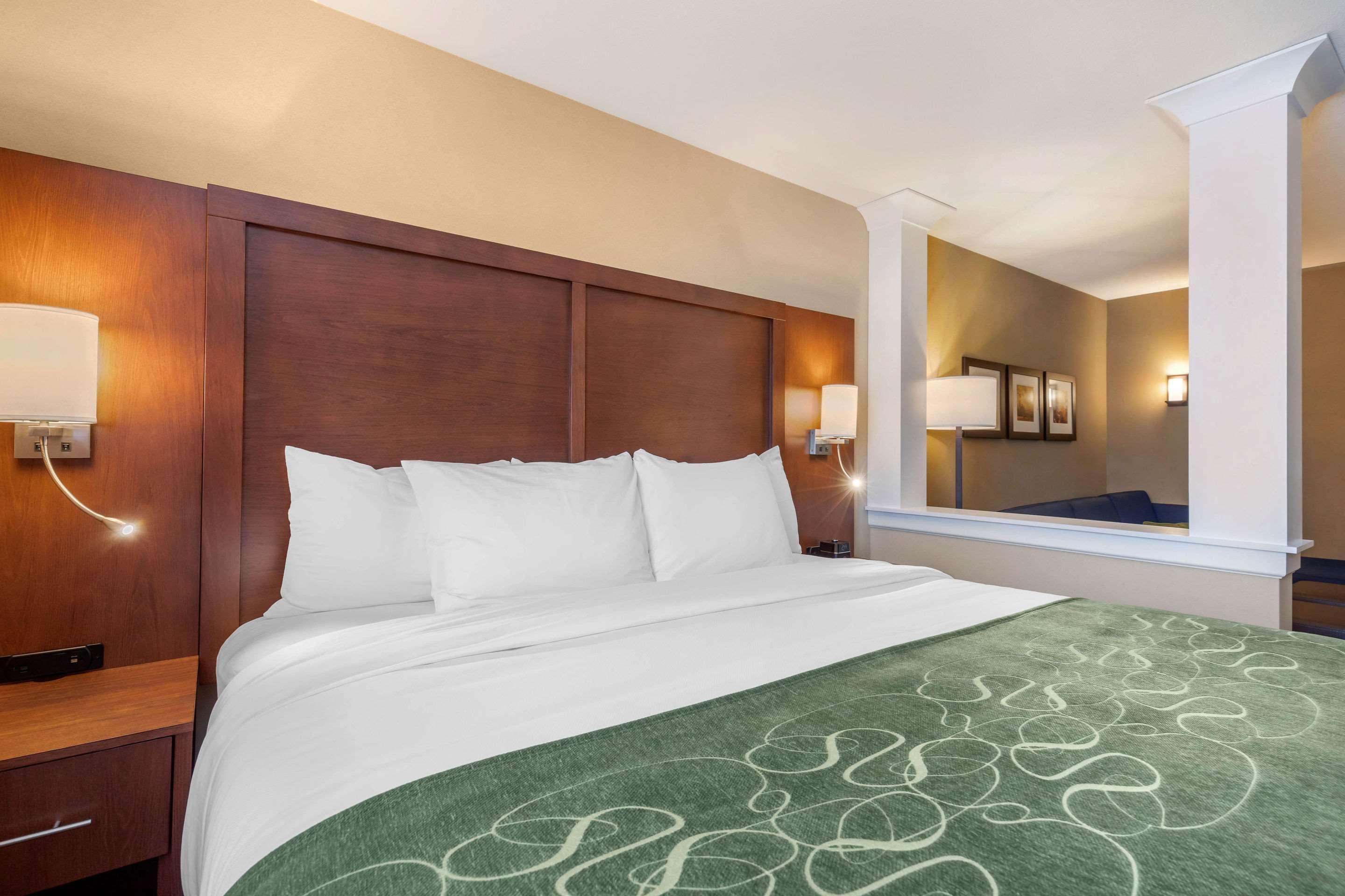 Comfort Inn & Suites Schenectady - Scotia Zewnętrze zdjęcie