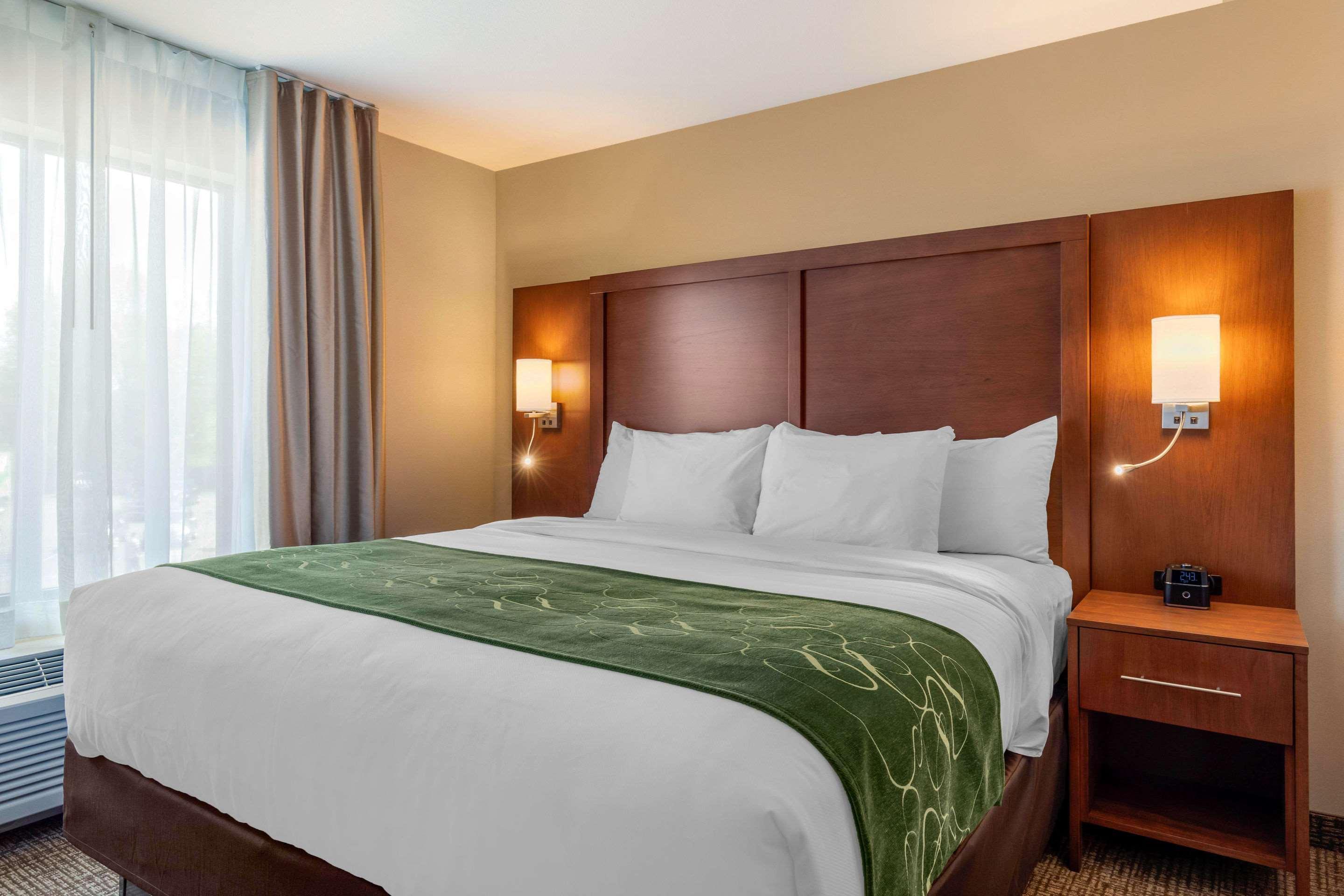 Comfort Inn & Suites Schenectady - Scotia Zewnętrze zdjęcie