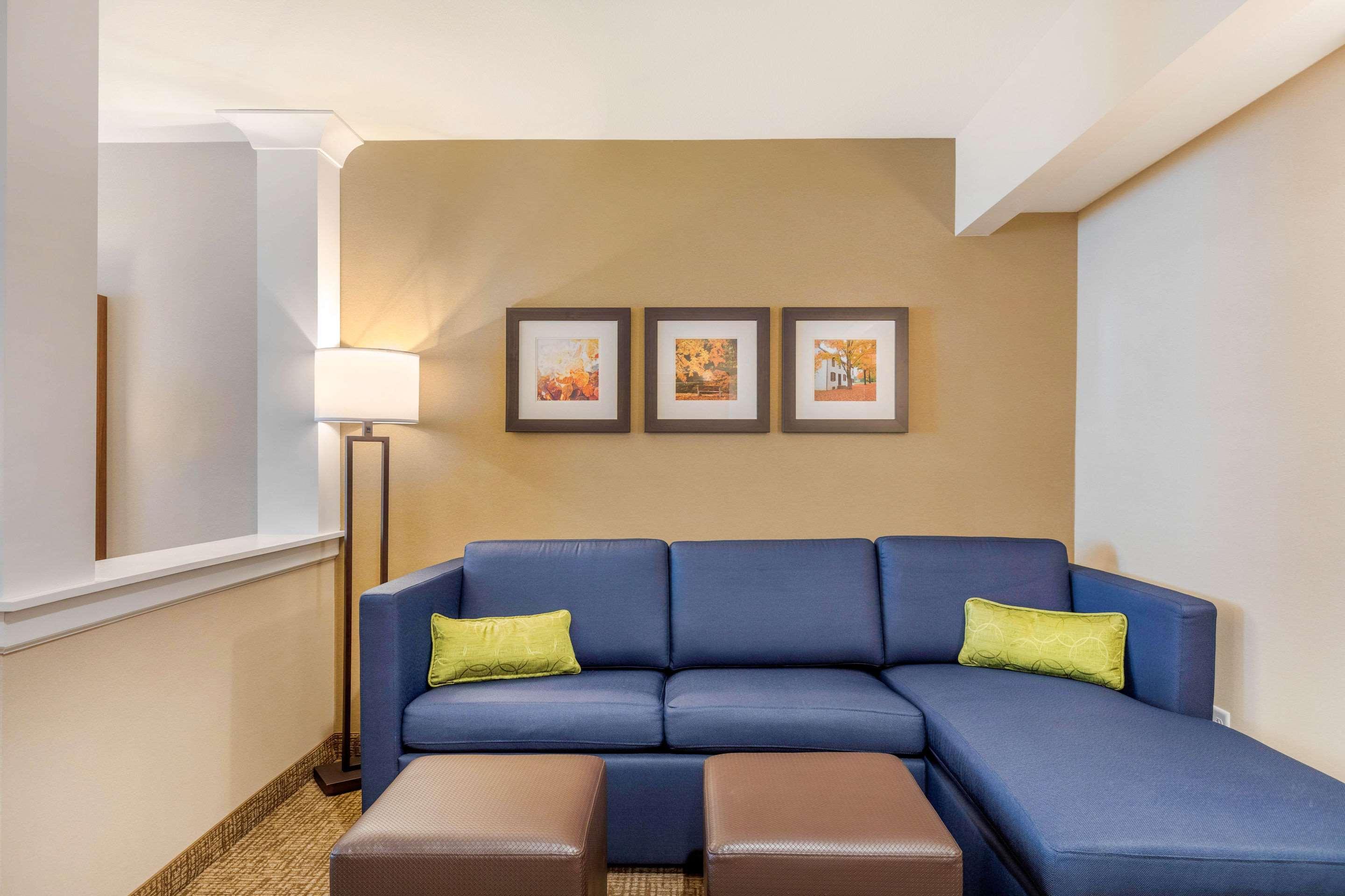 Comfort Inn & Suites Schenectady - Scotia Zewnętrze zdjęcie