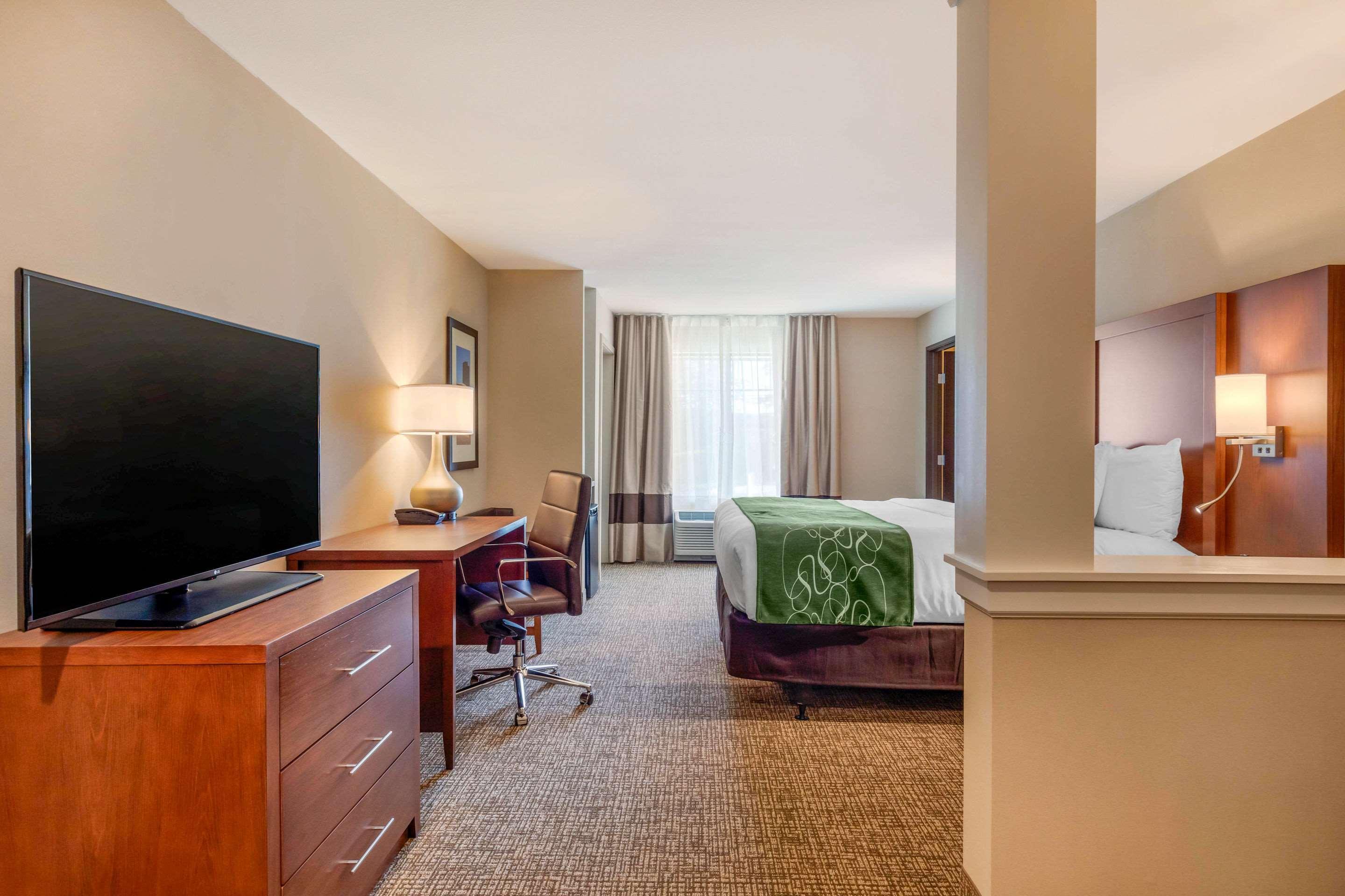 Comfort Inn & Suites Schenectady - Scotia Zewnętrze zdjęcie