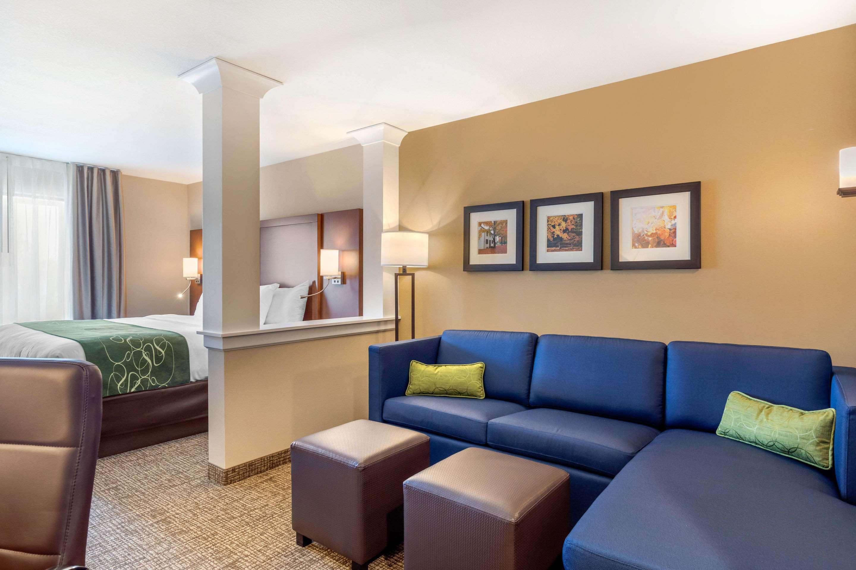 Comfort Inn & Suites Schenectady - Scotia Zewnętrze zdjęcie
