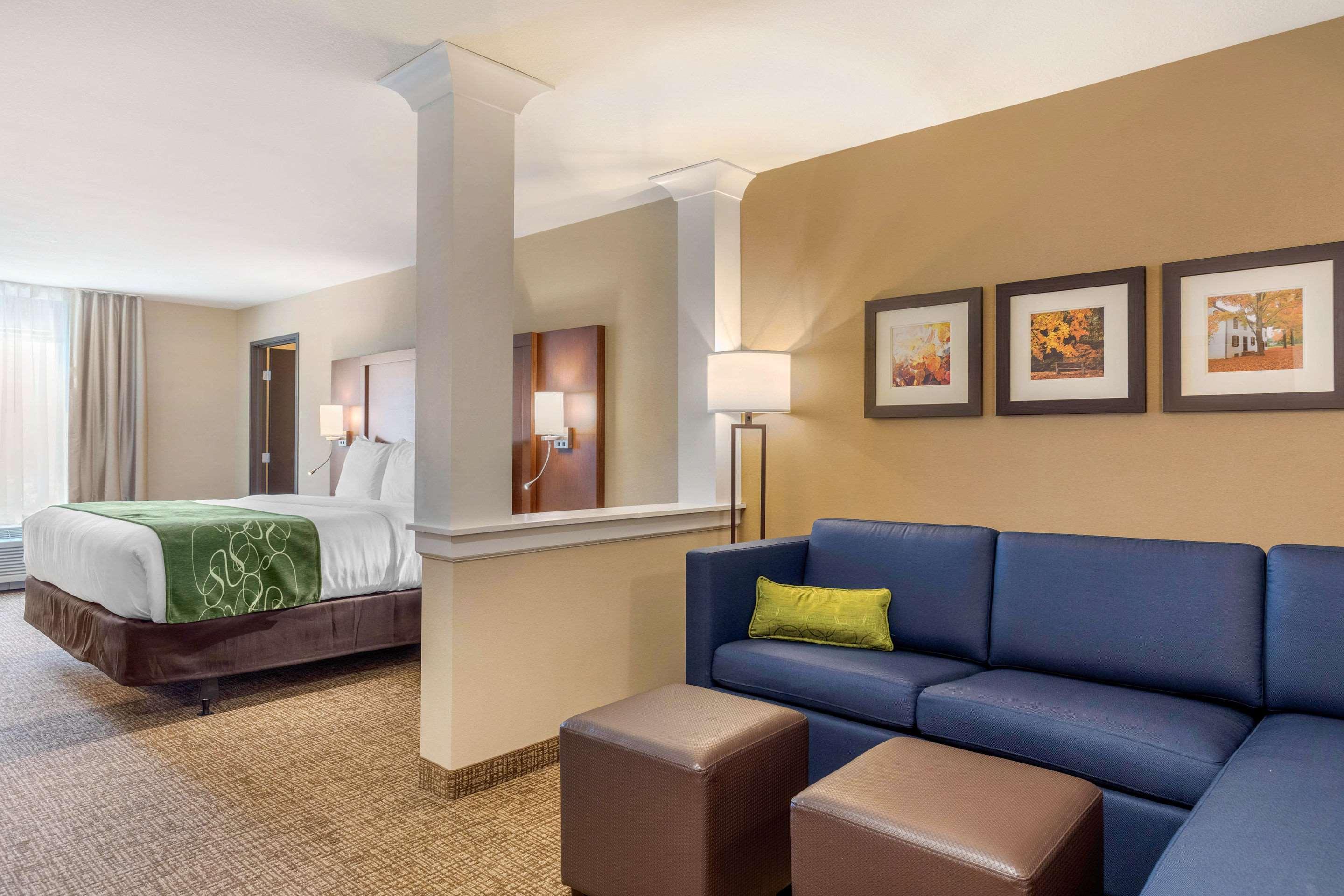 Comfort Inn & Suites Schenectady - Scotia Zewnętrze zdjęcie