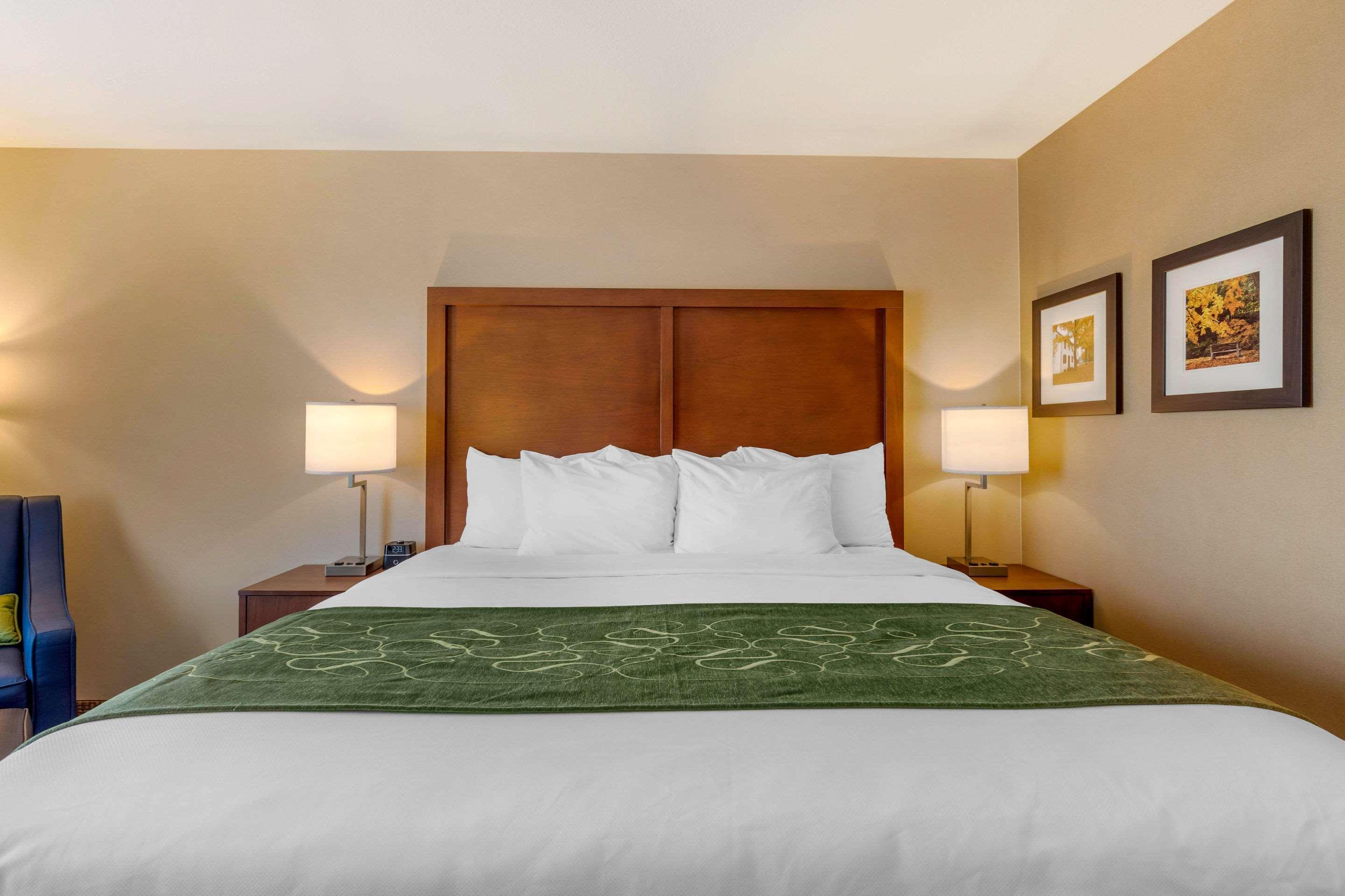 Comfort Inn & Suites Schenectady - Scotia Zewnętrze zdjęcie