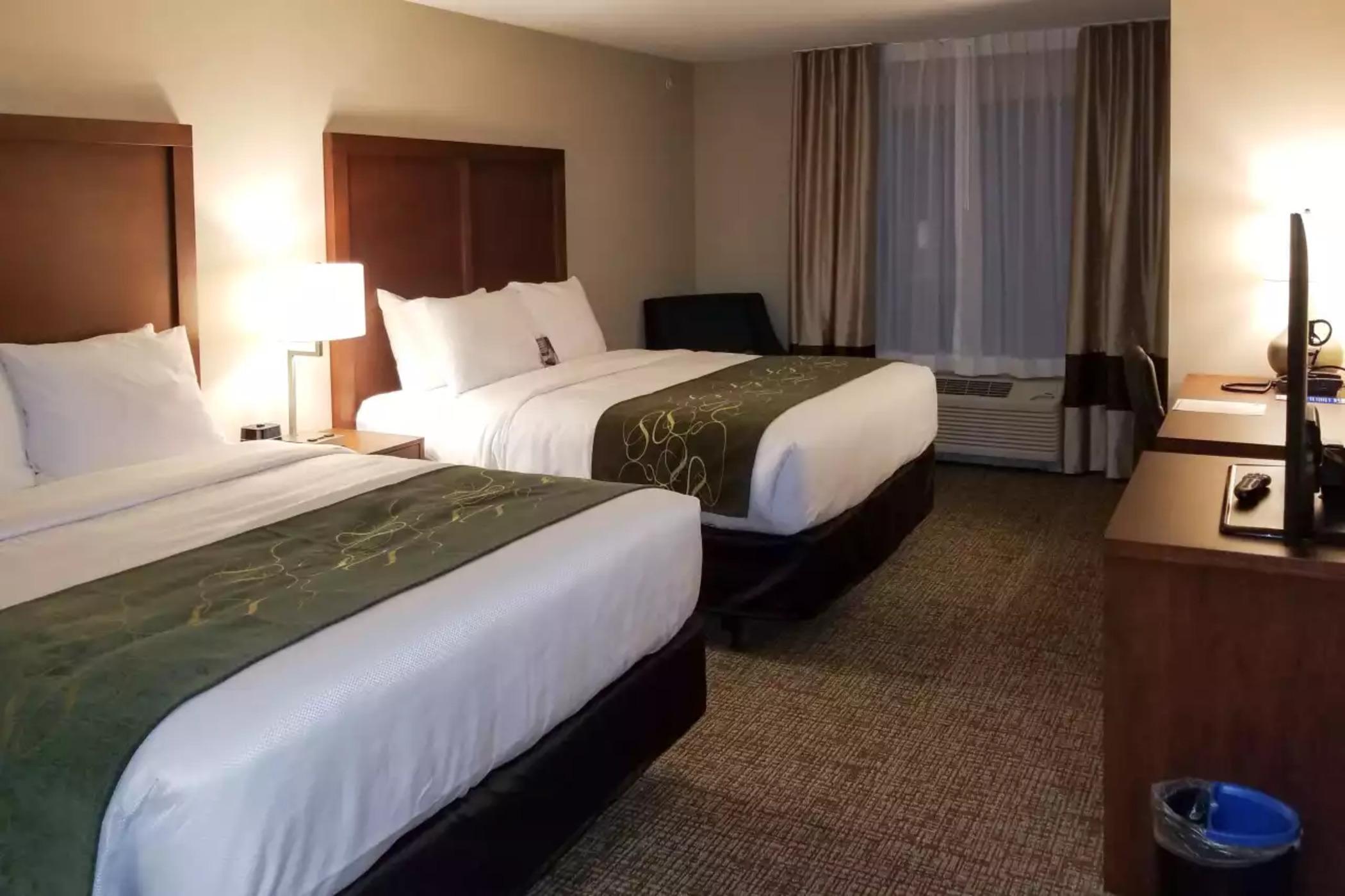 Comfort Inn & Suites Schenectady - Scotia Zewnętrze zdjęcie