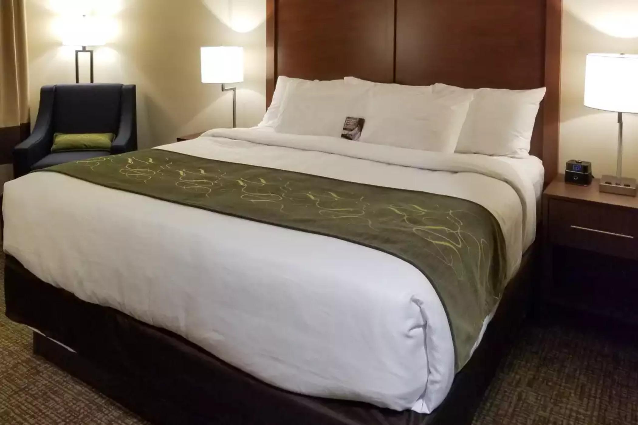 Comfort Inn & Suites Schenectady - Scotia Zewnętrze zdjęcie