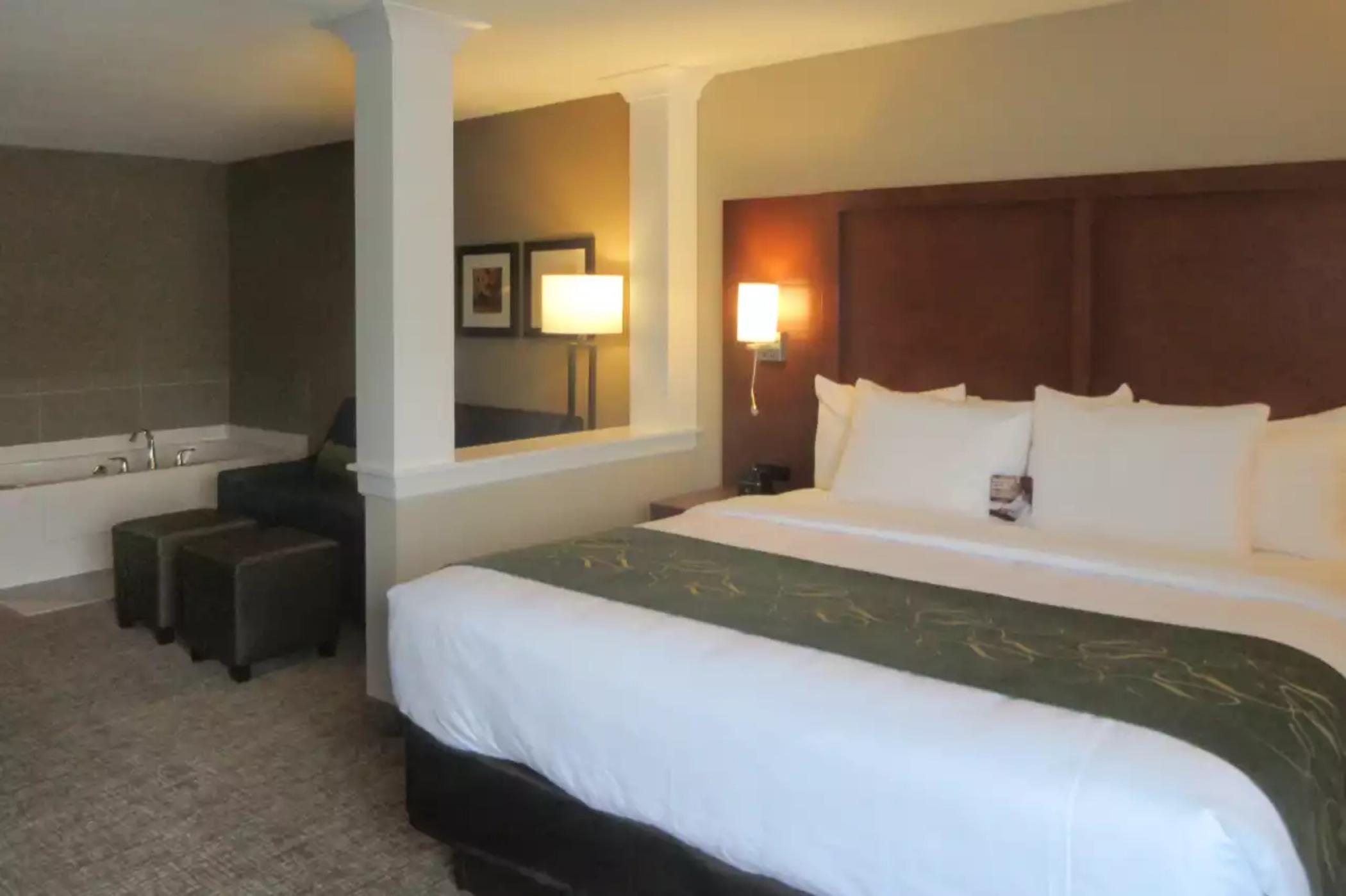 Comfort Inn & Suites Schenectady - Scotia Zewnętrze zdjęcie