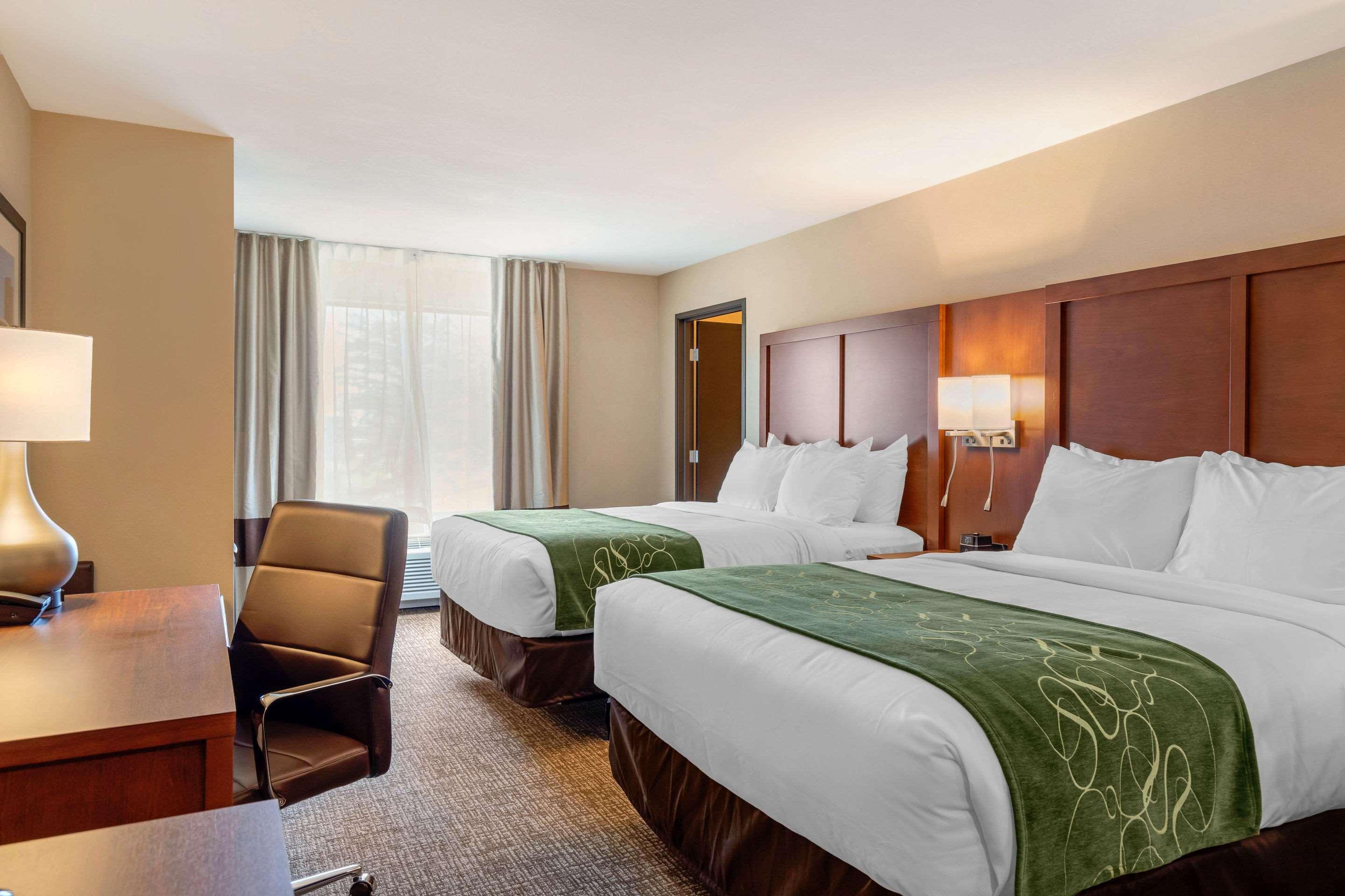 Comfort Inn & Suites Schenectady - Scotia Zewnętrze zdjęcie