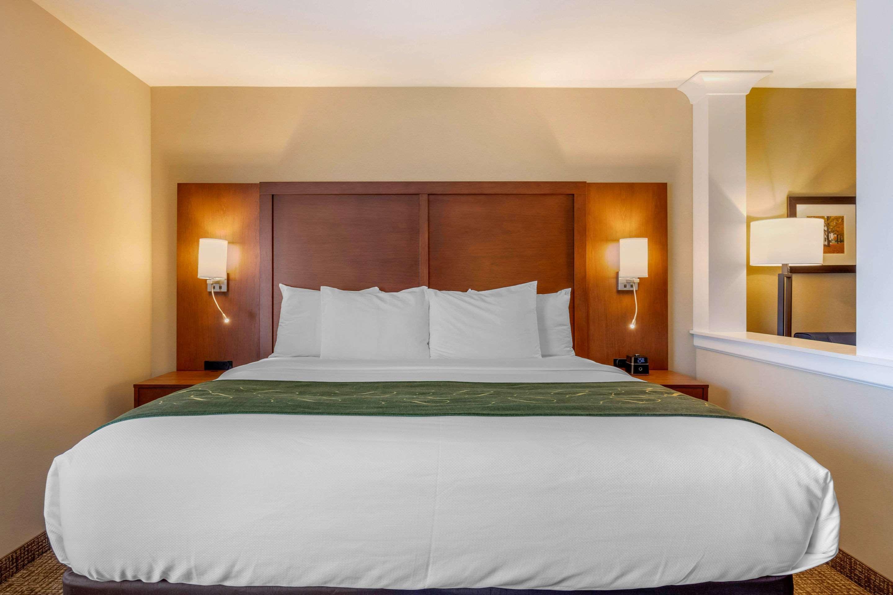 Comfort Inn & Suites Schenectady - Scotia Zewnętrze zdjęcie