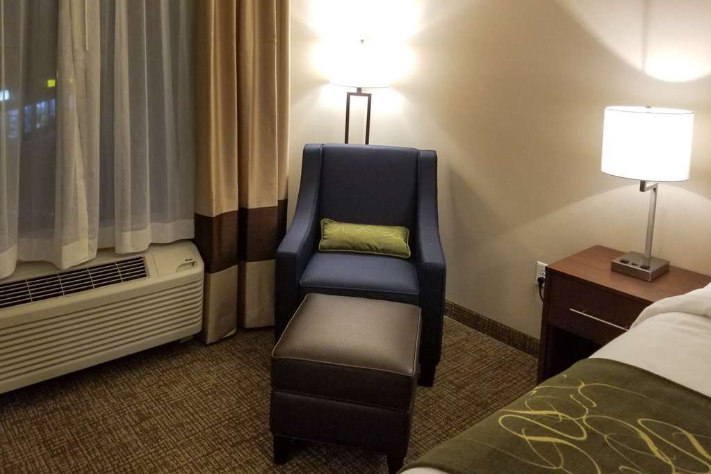 Comfort Inn & Suites Schenectady - Scotia Pokój zdjęcie